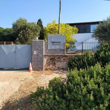 Cap Sounion Seafront Apartment - Adults Only מראה חיצוני תמונה
