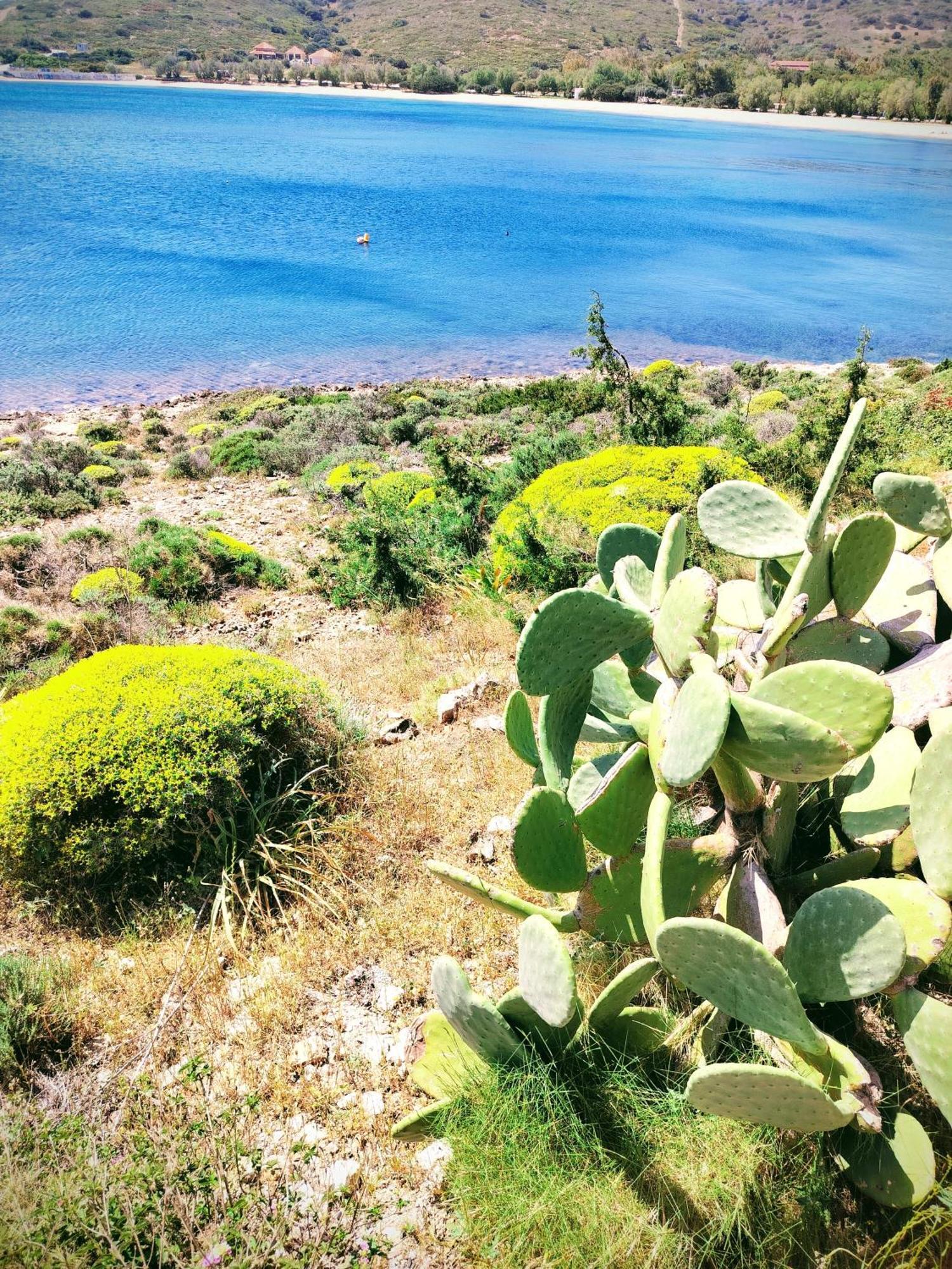 Cap Sounion Seafront Apartment - Adults Only מראה חיצוני תמונה