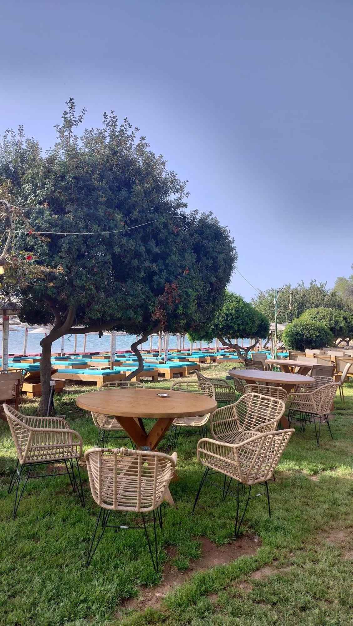 Cap Sounion Seafront Apartment - Adults Only מראה חיצוני תמונה